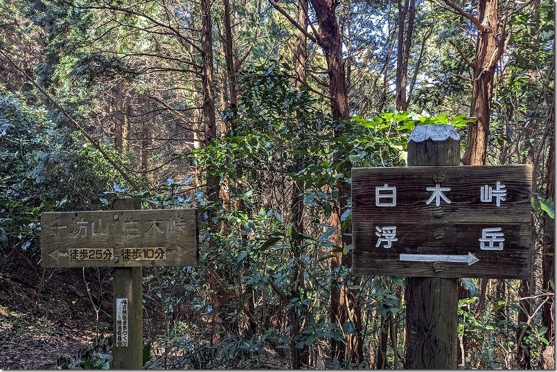 白木峠から十坊山山頂への登山 案内標識(白木峠から10分、山頂まで25分) 白木峠から十坊山山頂への登山 案内標識(白木峠から10分、山頂まで25分)