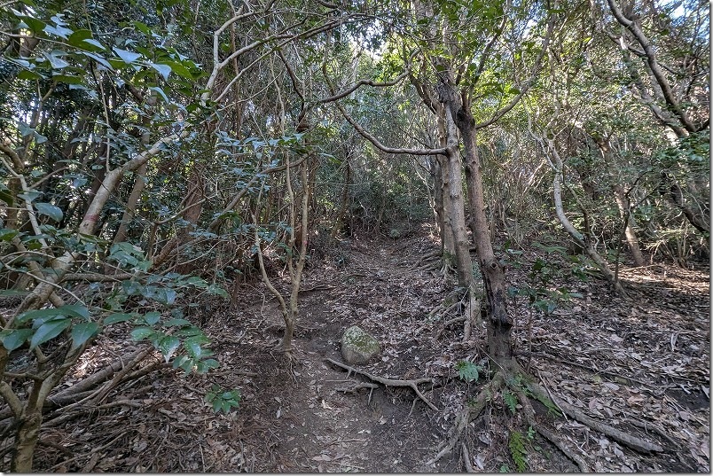 白木峠から十坊山山頂への登山 長い急傾斜 白木峠から十坊山山頂への登山 長い急傾斜