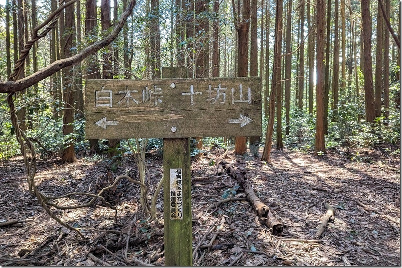 白木峠から十坊山山頂への登山 25分登山したとこで、また案内標識を発見 白木峠から十坊山山頂への登山 25分登山したとこで、また案内標識を発見