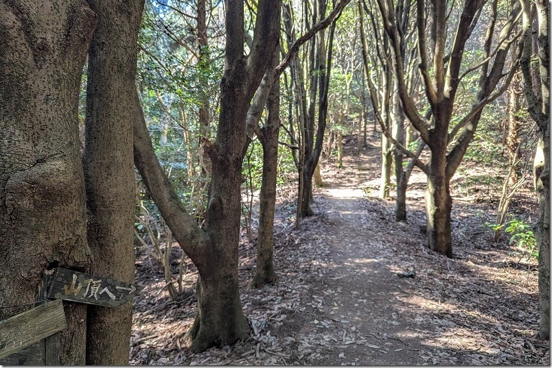 白木峠から十坊山山頂への登山 25分登山したとこで、山頂⇒の標識あり 白木峠から十坊山山頂への登山 25分登山したとこで、山頂⇒の標識あり