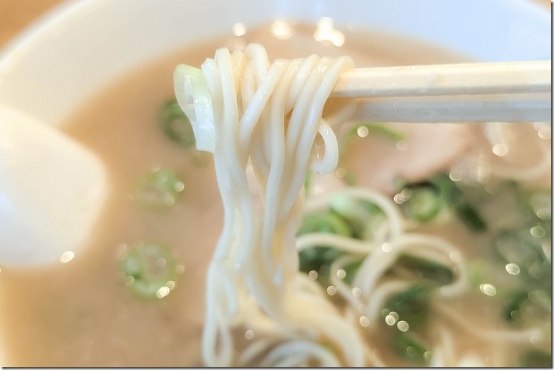 豚骨ラーメンを食す（麺の太さ）｜風靡 今宿店