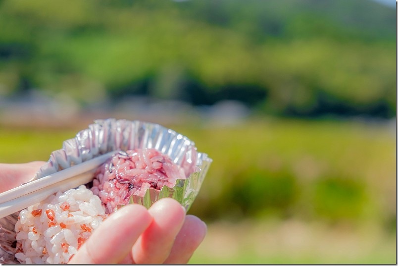 試食した赤米と玄米のおにぎり｜糸島市二丈の赤米アート