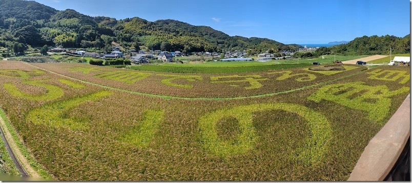櫓から見た2026年の文字（全景）｜糸島市二丈の赤米アート