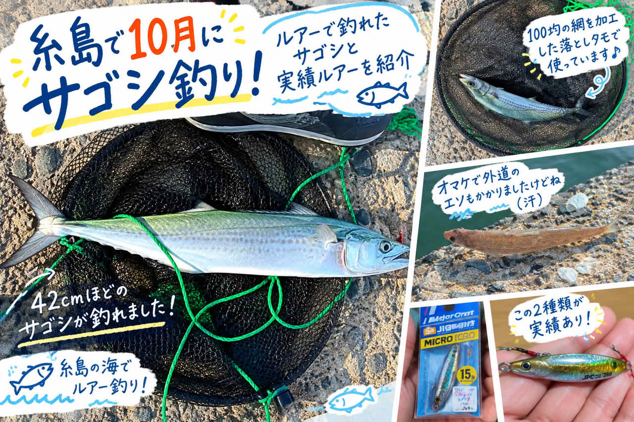 糸島で10月にサゴシ釣り！ルアーで釣れたサゴシと実績ルアーを紹介