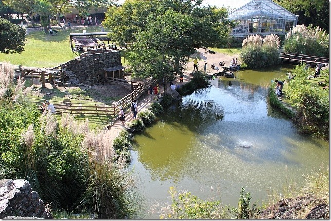 バイオパークでザリガニ釣りの池