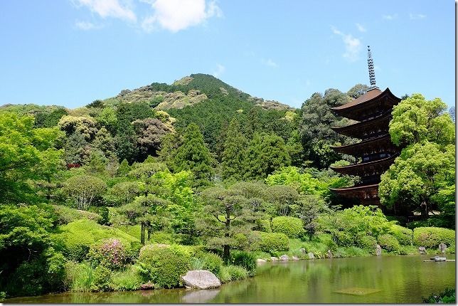 山口、新緑の瑠璃光寺の五重塔