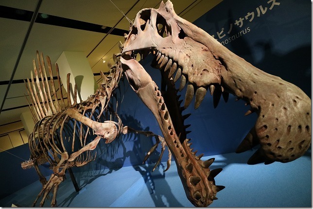 いのちのたび博物館、恐竜博スピノサウルス