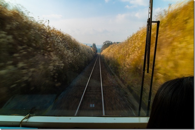 南阿蘇鉄道、ONEPIECEラッピング列車からの車窓