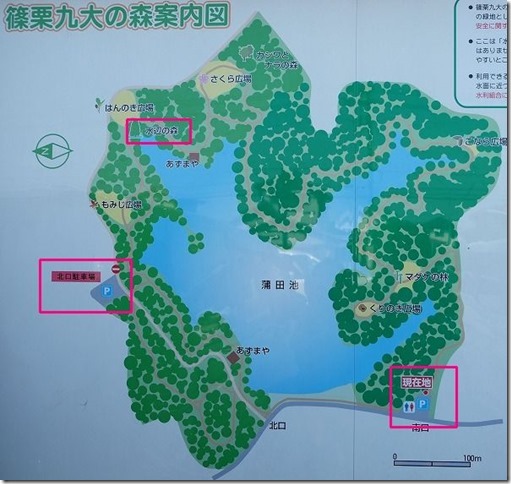 篠栗九大の森内の地図