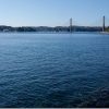 呼子 いか道楽(加部島でイカ)