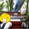 尾道 猫の細道のオルガン