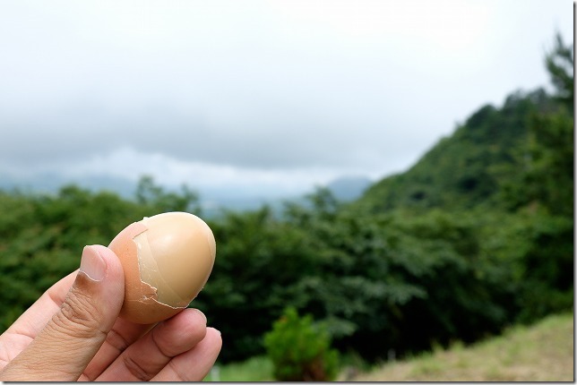 塚原温泉のむし卵