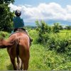 くじゅうで子供の乗馬体験 エルランチョグランデ(大分県九重町)