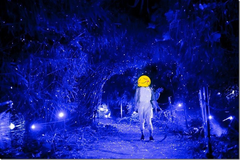 伊王島アイランドルミナ、光の洞窟
