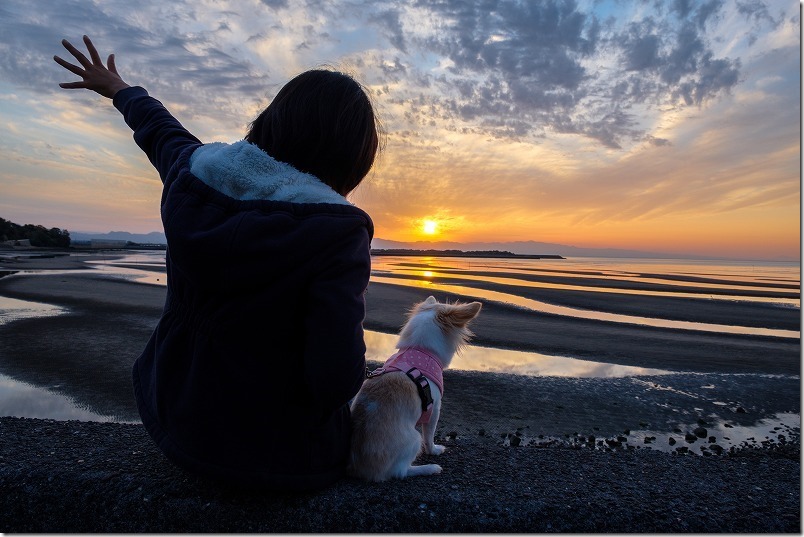 干潮の真玉海岸の夕日を子供と犬と