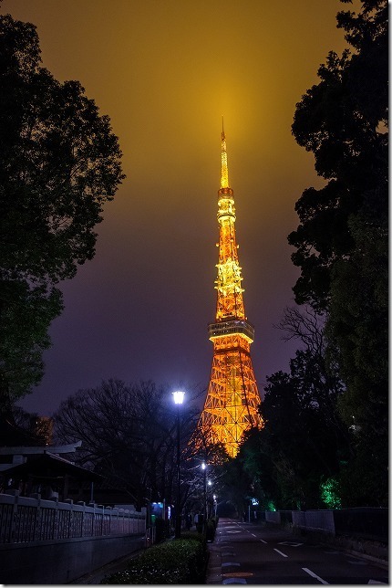 増上寺の横の通りと東京タワーの夜景