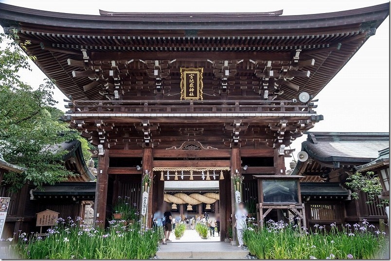 宮地嶽神社、楼門周辺の菖蒲