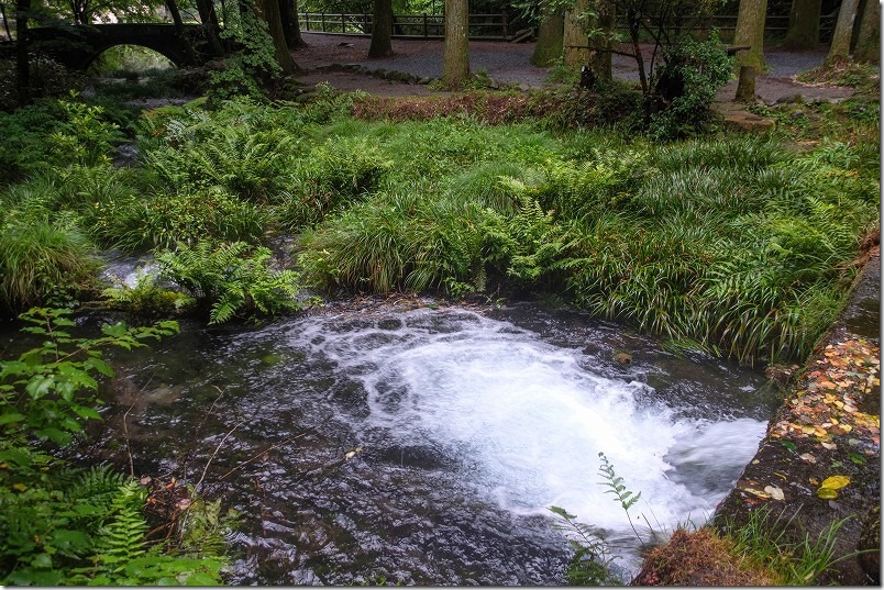 阿蘇・くじゅうの湧水、池山水源