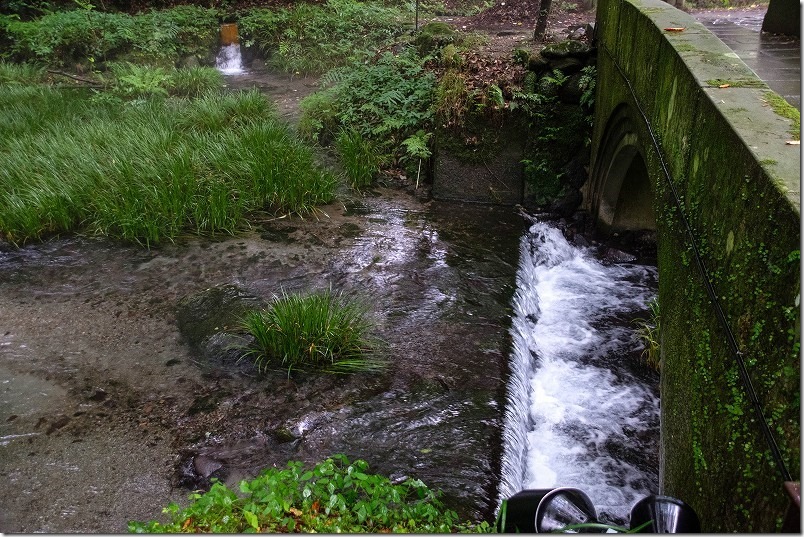 阿蘇・くじゅう、池山水源の湧水が川に