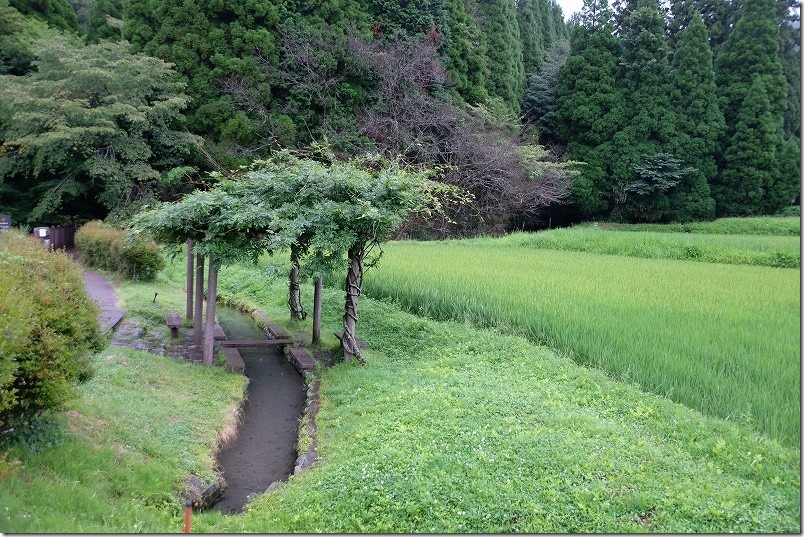 池山水源の冷水スポット、足水