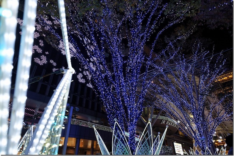 博多駅前広場の木々も青系のイルミネーション