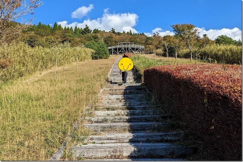 日本一の枕木階段からの展望台・栗野岳下展望台