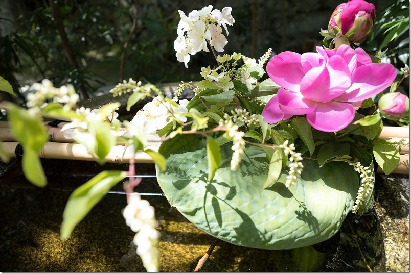 臥龍山荘を観覧、花と日本庭園