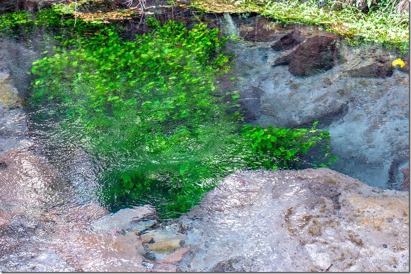男池湧水に湧水量。透明で綺麗な水