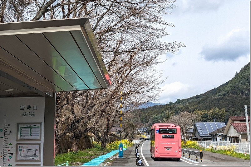 宝珠山駅を出発し専用道路へ入るBRTひこぼしライン。菜の花と桜の木
