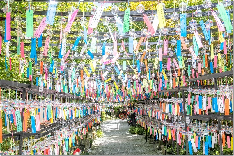 田川。三井寺メインストリート（風鈴の棚の通路）