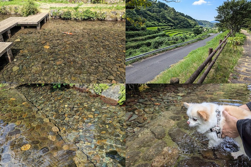 水の口湧水公園で水遊び・無料の水汲み場も有り（大分県杵築市）