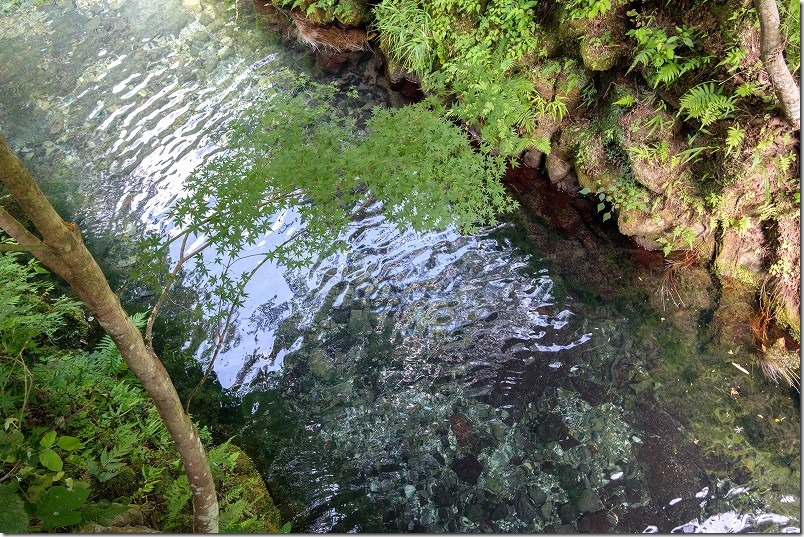 稲積水中鍾乳洞から湧き出る湧水