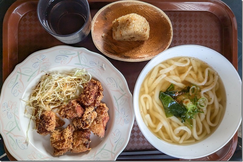 道の駅「みなみの里」のうどん屋の唐揚げセット