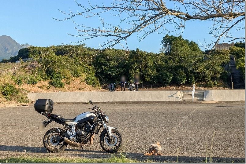 牧場の里あづまの駐車場