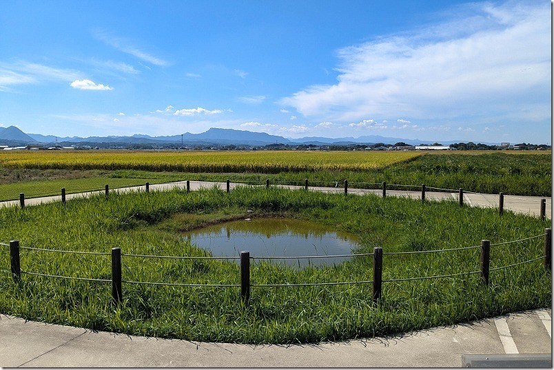 大分県宇佐市の爆弾池