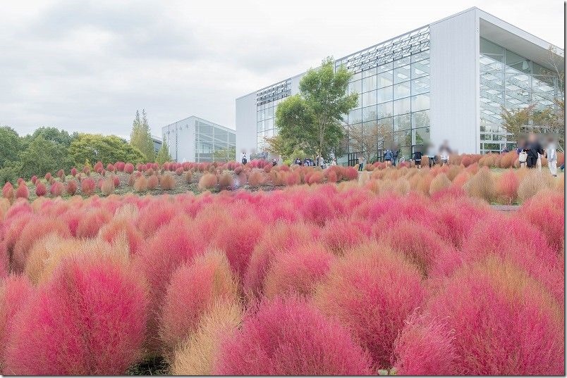 るるパーク、花昆虫館・屋内つばき園の外観