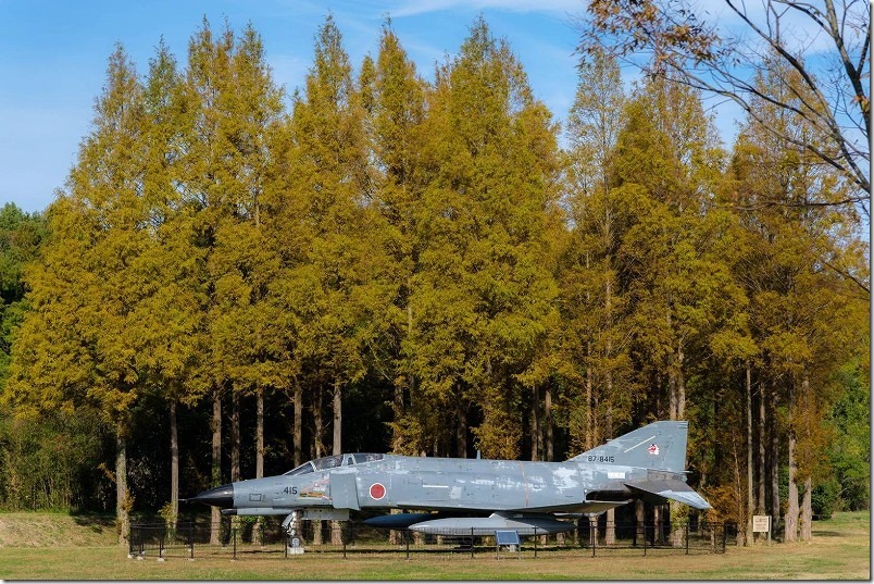 メタセの杜のF4戦闘機（F4EJ改）とメタセコイヤ