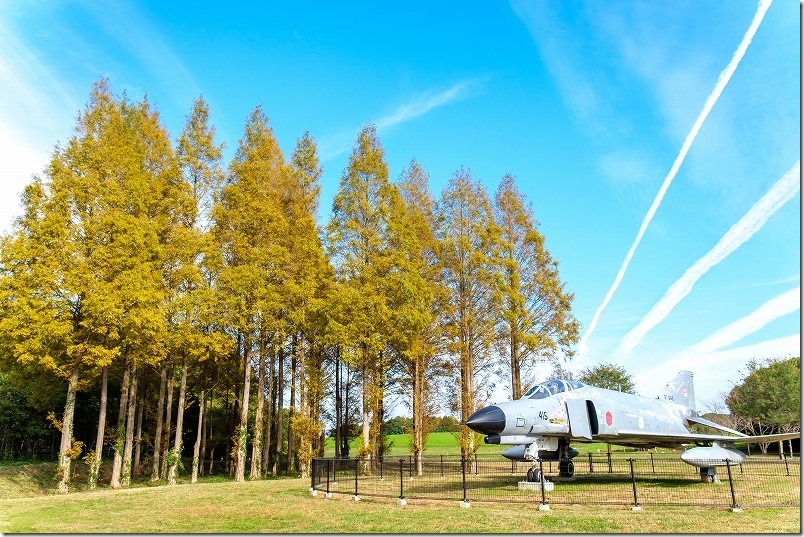 メタセの杜 メタセコイヤの紅葉と戦闘機