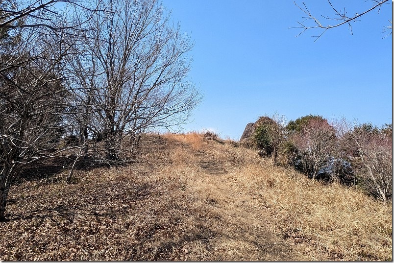 八面山 地球が丸く見える丘への散策路