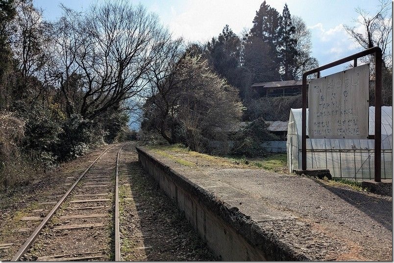 廃線の竹林まで泰久寺駅跡から散策開始 線路を歩く