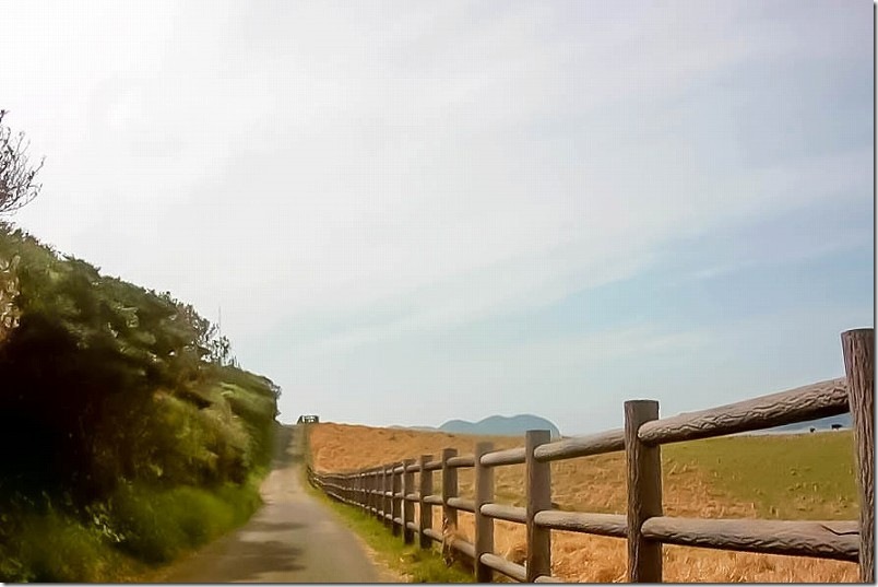 呼子 加部島の杉ノ原放牧場 細い道