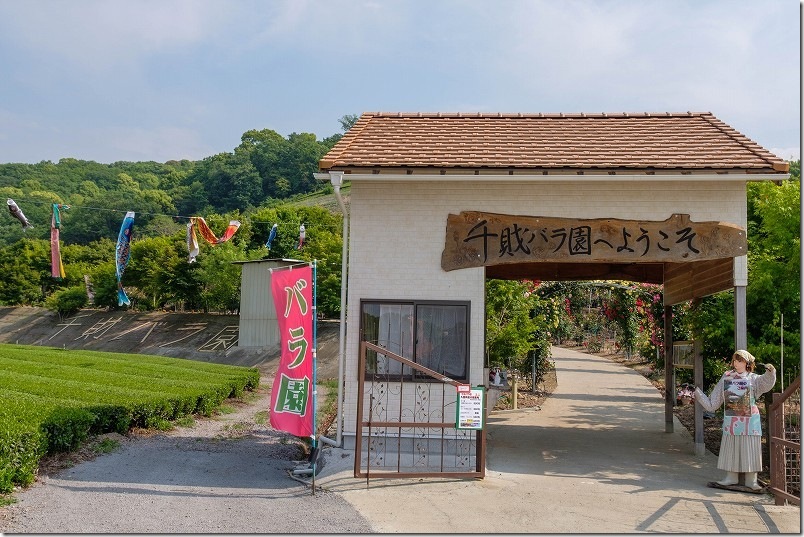 千財バラ園 入口