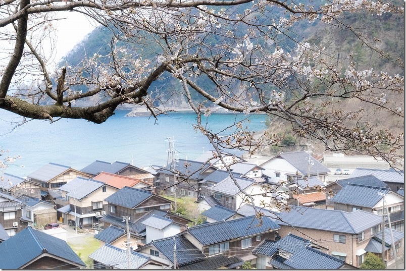 余部鉄橋下で桜と海と町並み