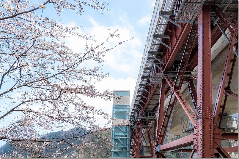 余部鉄橋と桜