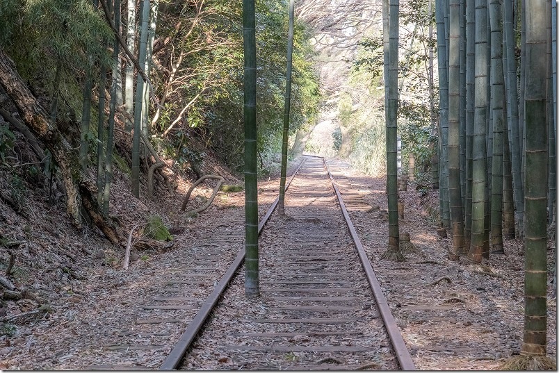 廃線の竹林へ到着 旧国鉄倉吉線廃線跡