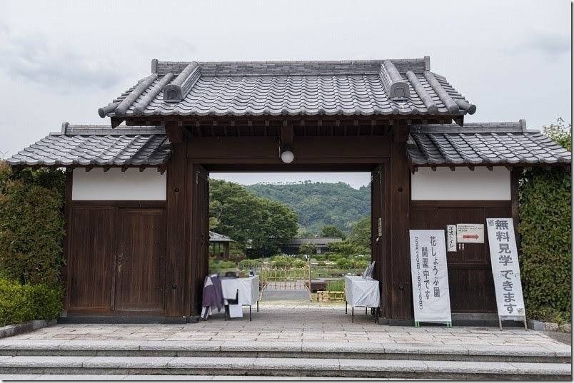 無料で見学できる大和中央公園花しょうぶ園