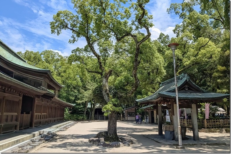 筥崎宮 あじさい苑 入口
