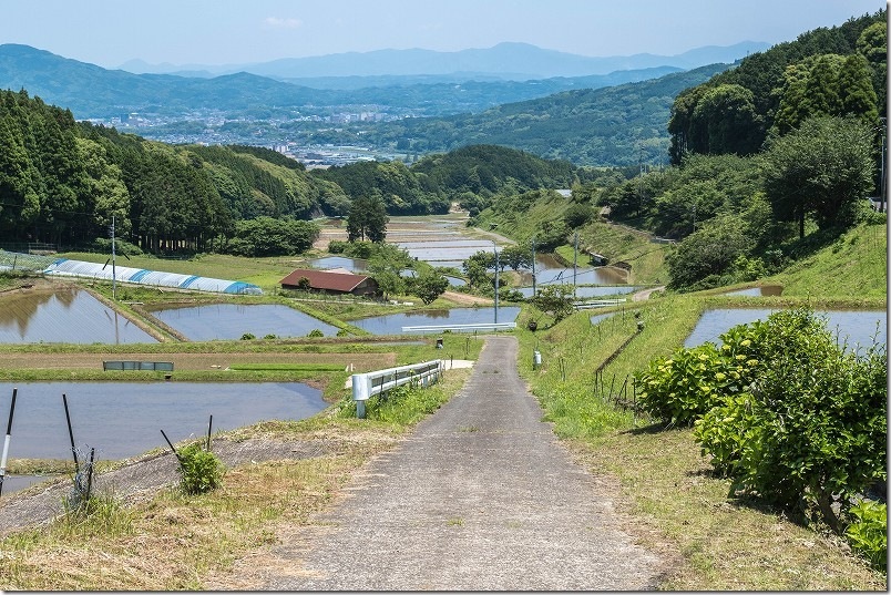 中田棚田【すみやまの棚田 佐賀県伊万里市】 下に続く棚田