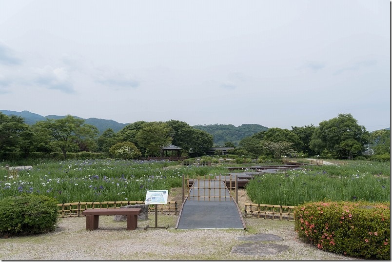 大和中央公園花しょうぶ園を散策 所要時間