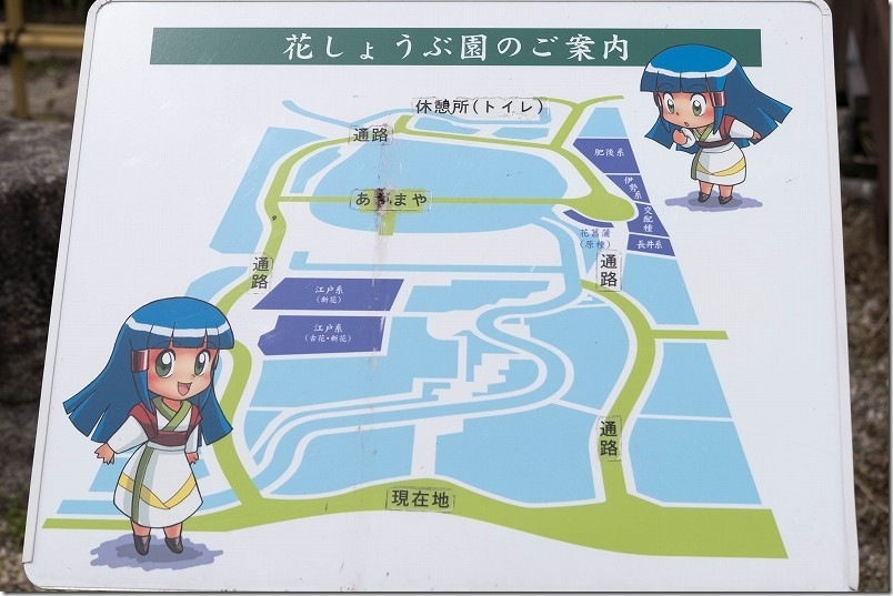 大和中央公園花しょうぶ園を散策 園内MAP
